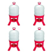 LITTLE GIANT LADDER SYSTEMS Little Giant DOMEWTR10 10 Gallon Tank Poultry Chicken Gravity Waterer (4 Pack)