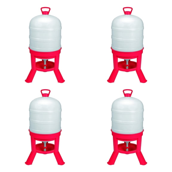 Little Giant DOMEWTR10 10 Gallon Tank Poultry Chicken Gravity Waterer (4 Pack)