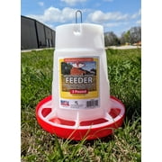 Little Giant Deluxe Hanging Poultry Feeder Adjustable Feed Levels 3-Pound