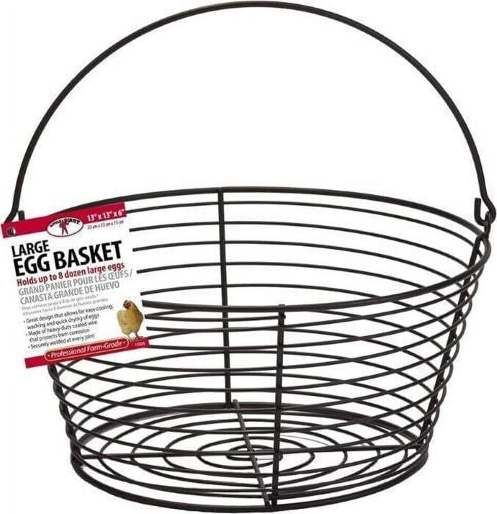 Little Giant EB13 13" x 13" x 6" Black Wire Egg Gathering Basket