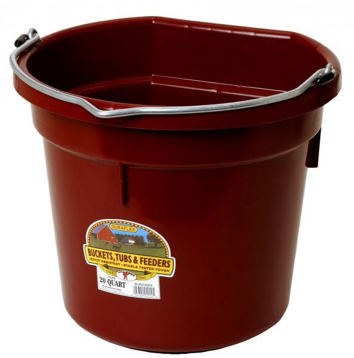 Little Giant Flat Back Bucket 20 Qt - Feed Livestock and Pets with ...