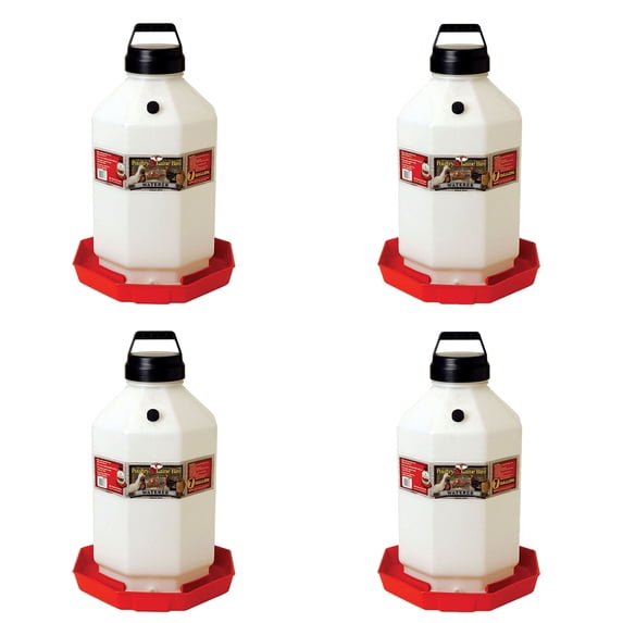 Little Giant PPF7 Automatic Poultry Waterer for Chickens, Red, 7 Gallon (4 Pack)
