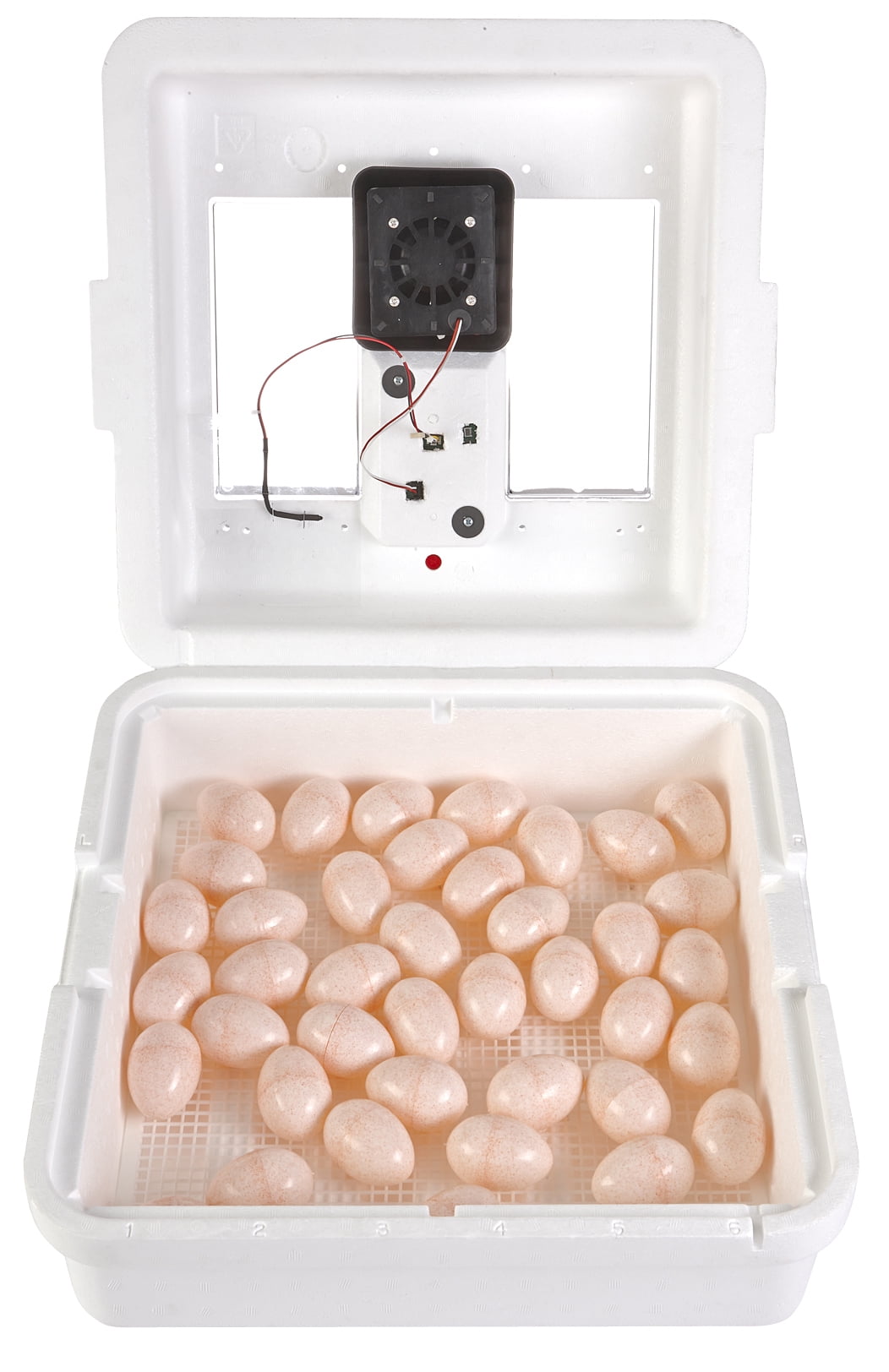 White Digital Styrofoam Egg Incubator with LED Display