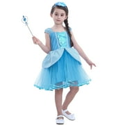 Little Girl Cinderella Dress Princess Costume Birthday Party Cosplay Halloween Dress up Tutu Outfits