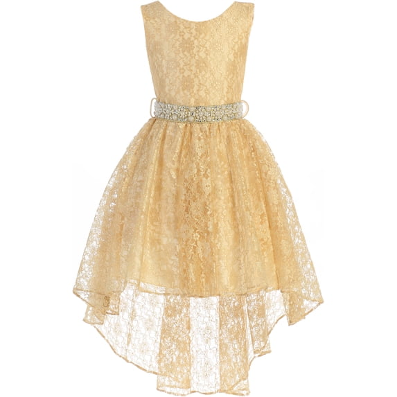 Little Girl Sleeveless Floral Lace Tulle Knee Length Pageant Flower Girl Dress Flower Girl Dress (J3744K) Gold 6