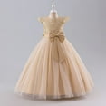 thumbnail image 1 of Little Girl Tutu Dress Tulle Ruffles Flower Girls Wedding Party Princess Dresses, 1 of 10