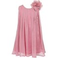 thumbnail image 1 of Little Girls Adorable Chiffon Mesh Flower Flowers Girls Dresses Rose Size 2, 1 of 3
