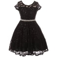 thumbnail image 1 of Little Girls Cap Sleeve Glitter Lace Pearl Holiday Junior Bridesmaid Flower Girl Dress USA Black 2 (2J1K0S2), 1 of 3