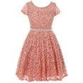 thumbnail image 1 of Little Girls Cap Sleeve Glitter Lace Pearl Holiday Junior Bridesmaid Flower Girl Dress USA Rose 4 (2J1K0S2), 1 of 3