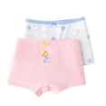 thumbnail image 1 of Little Girls' Cotton Brief Soft Cartoon Print Panty for 3-11 Years Old,2 Packs, 1 of 1