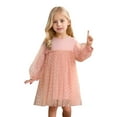 thumbnail image 1 of Little Girls Dresses Size 4 Years-5 Years Spring Fall Long Sleeve Tutu Dress Princess Dress Beach Dress, 1 of 6
