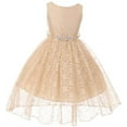 thumbnail image 1 of Little Girls Floral Lace High Low Rhinestones Special Occasion Flower Girl Dress Champagne 4 (M3B6K0CB), 1 of 3