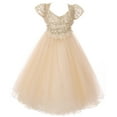 thumbnail image 1 of Little Girls Lace Top Tulle Bolero Party Pageant Holiday Gown Flower Girl Dress Gold 6 (C17B13), 1 of 4