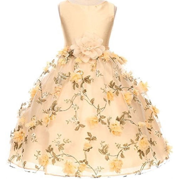 Little Girls Organza Chiffon Flower 3D Print Flowers Girls Dresses Champagne 4 (MB35K4)