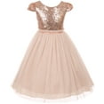 thumbnail image 1 of Little Girls Sequin Tulle Cap Sleeve Bridesmaid Party Birthday Flower Girl Dress Blush Size 6  (K410D), 1 of 4