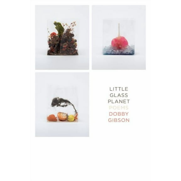 Little Glass Planet: Poems