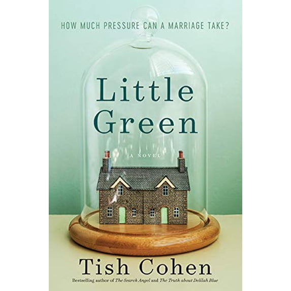 Pre-Owned Little Green: A Novel (Paperback) 1443410853 9781443410854