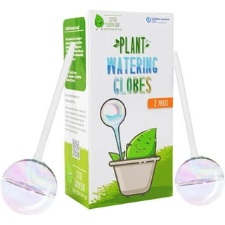 https://i5.walmartimages.com/seo/Little-Green-Leaf-LGL-Plant-Watering-Globes-2-Pieces-Clear-Rainbow-Decorative-Self-Planter-Inserts-Hand-Blown-Durable-Glass-Ideal-Lover-Gift-2pk-Medi_7dfbbe1c-dbe4-42b2-9d6c-fa4723d43752.ea39f8d1db216a590dc694cf611fae56.jpeg?odnHeight=320&odnWidth=320&odnBg=FFFFFF
