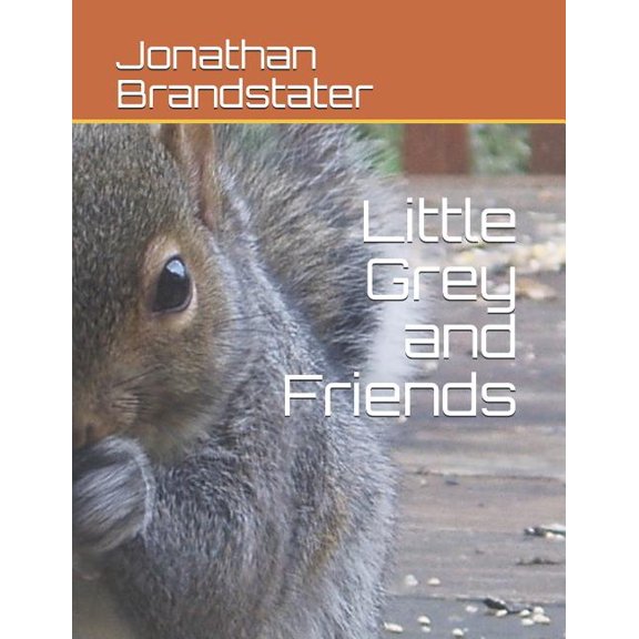 Little Grey and Friends Paperback 1792690304 9781792690303 Mr. Jonathan Jay Brandstater