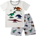 thumbnail image 1 of FEDPOP Toddler Boys Short Sleeve Dinosaur 100% Cotton Pajamas Sets 3t, 1 of 7