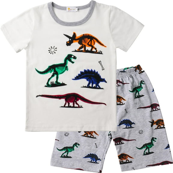 FEDPOP Toddler Boys Short Sleeve Dinosaur 100% Cotton Pajamas Sets 3t
