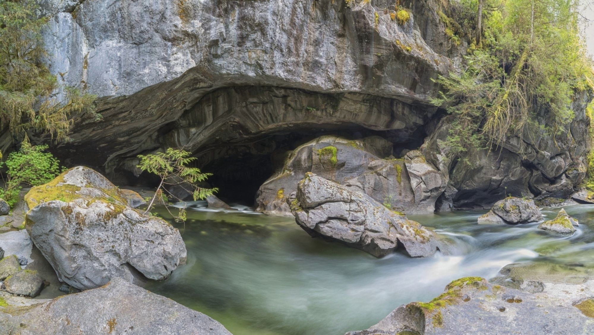 Little Huson Caves near Woss British Columbia Canada Canvas Art - Robert Postma Design Pics (20 x 11)