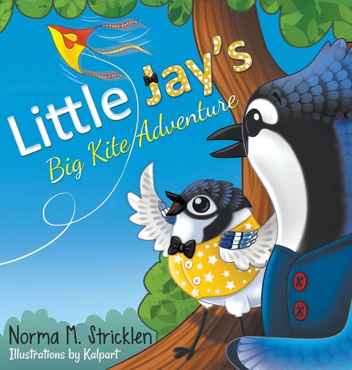 Little Jay's Adventure Little Jay's Big Kite Adventure, Book 1, (Hardcover)