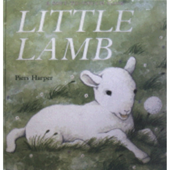 Pre-Owned Little Lamb (Paperback) 043990661X 9780439906616