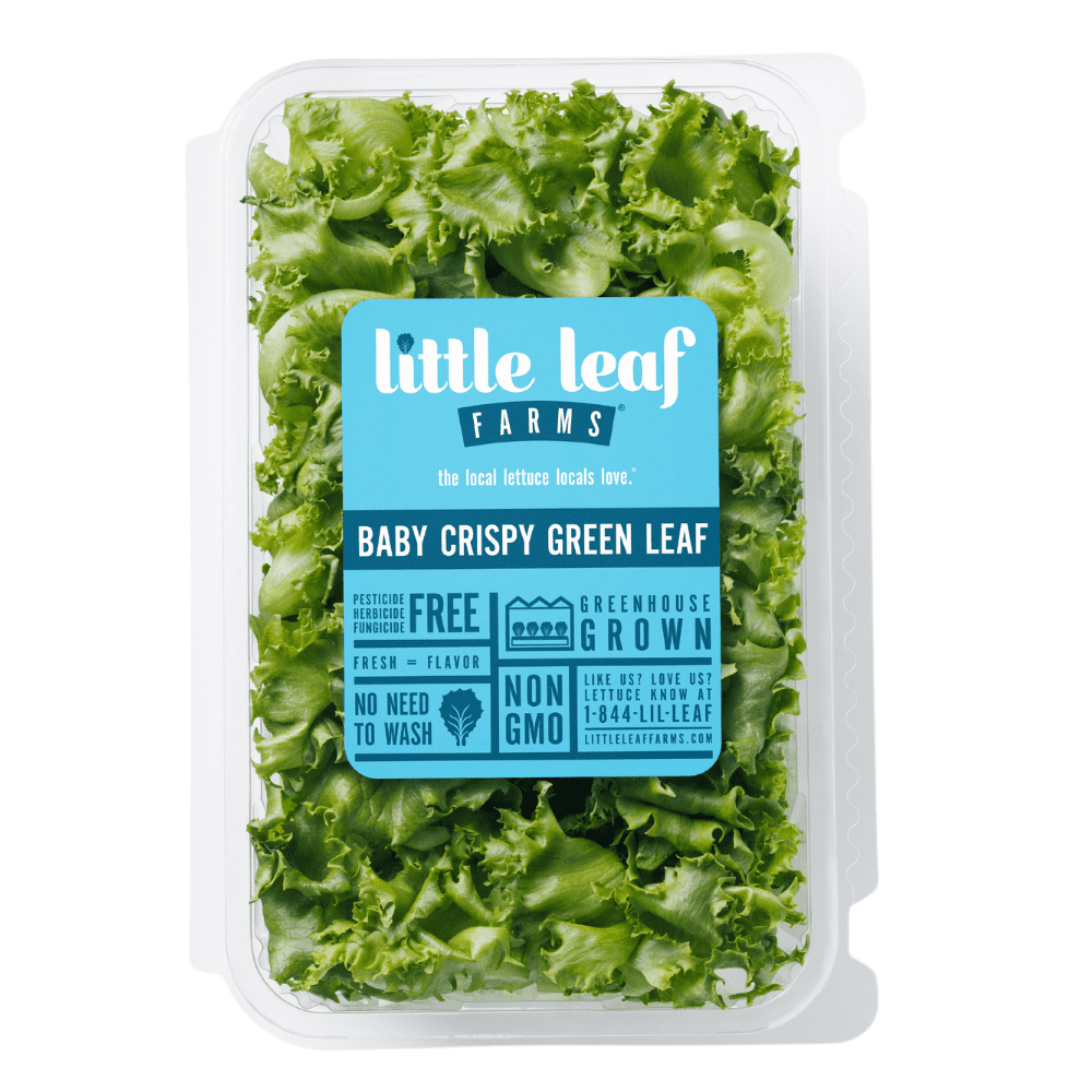 Little Leaf Farms Baby Crispy Green Leaf Lettuce Salad, 8 oz Clam Shell, Fresh