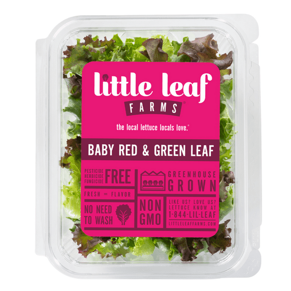 Little Leaf Farms Baby Red and Green Leaf Lettuce Salad Blend, 4 oz Clam Shell, Fresh
