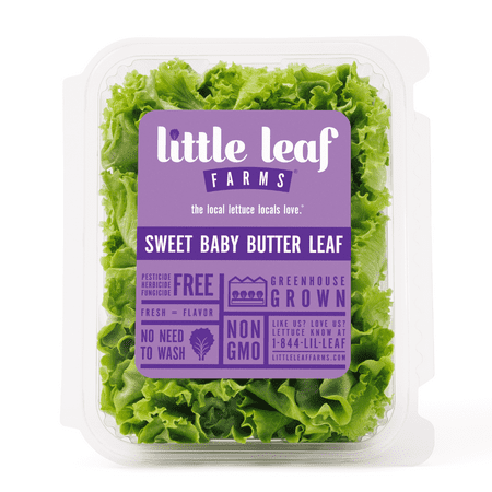 Little Leaf Farms Sweet Baby Butter Leaf Lettuce, 4 oz Clam Shell, Fresh