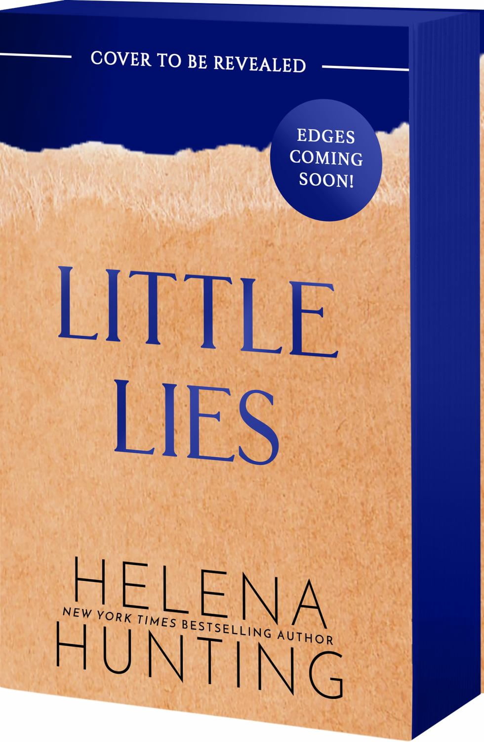 Little Lies (Paperback)