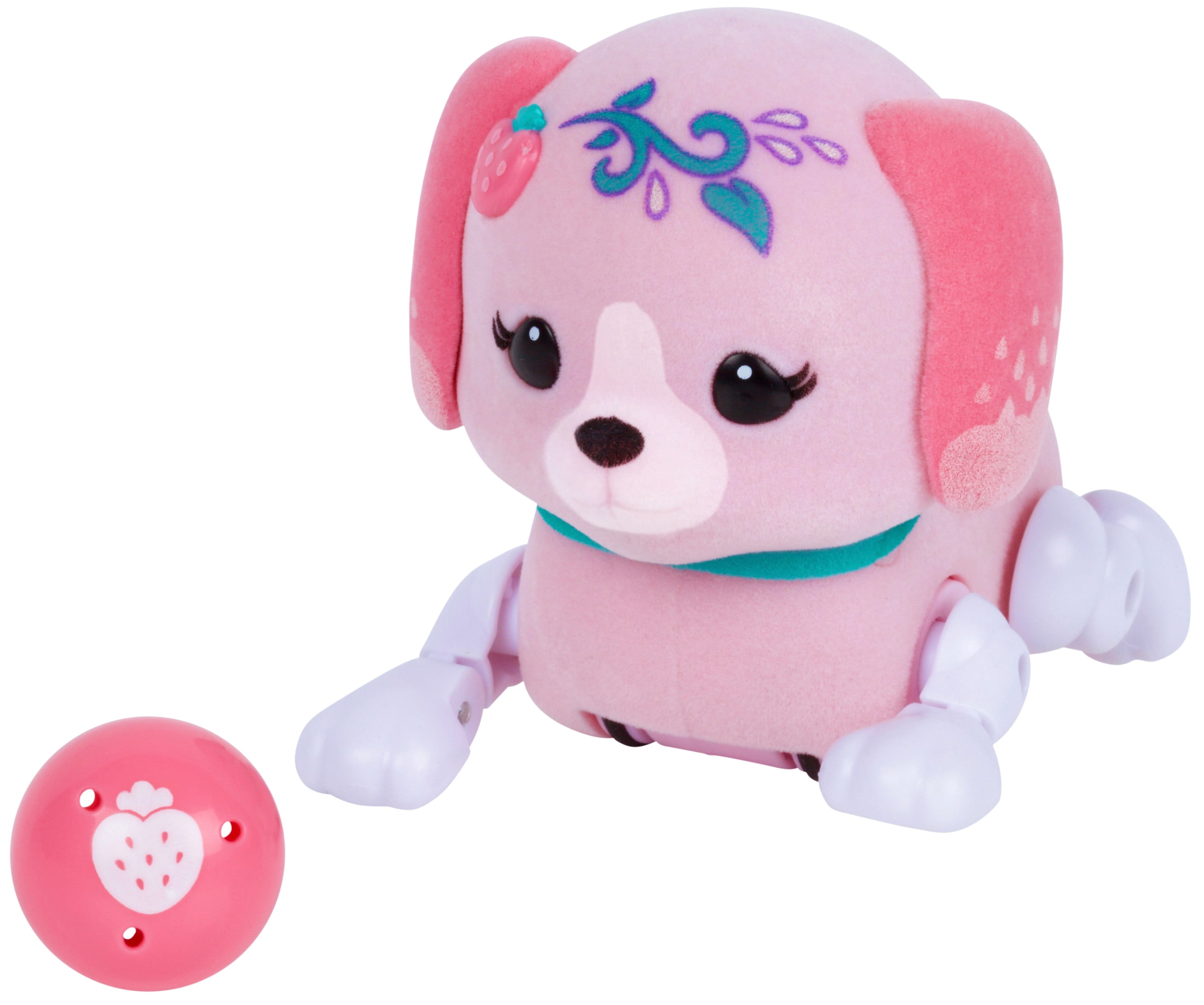 Cutie pup 2025