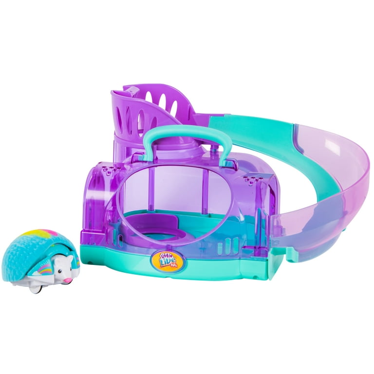 hedgehog great pets for toddlers