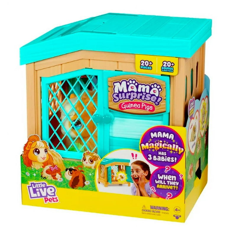This House Needs a Mouse: Review and an Activity! - Mama Plus One