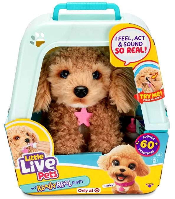 Moose Toys Little Live Pets Curley the Cavoodle, Interactive Puppy