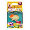 thumbnail image 1 of Little Live Pets NeeDees Chippee Hamster, 1 of 2