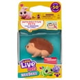 thumbnail image 1 of Little Live Pets NeeDees Ouchee Hedgehog Wearable Interactive Figure Pack, 1 of 1