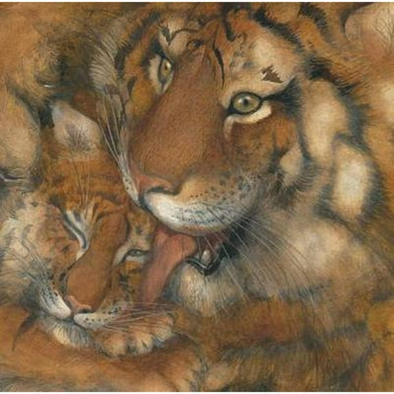 Pre-Owned Little Lost Tiger, 9780761461302, 0761461302, Hardcover,