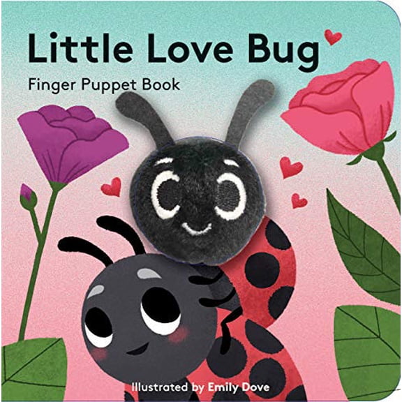 Pre-Owned Little Love Bug (Board book) 1452181748 9781452181745