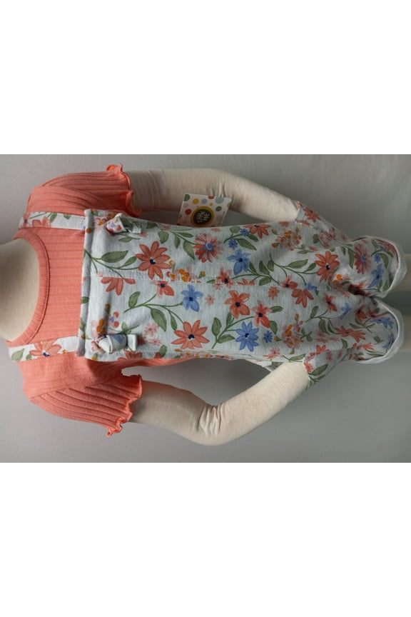 Toddler Girl's Flora 2Pc Jumper Set