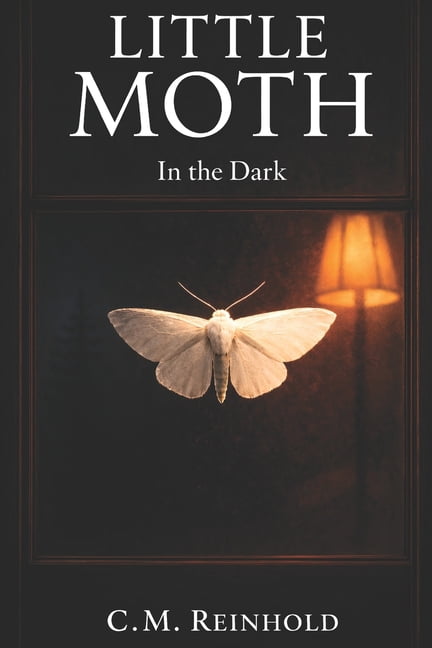 Little Moth Little Moth: In the Dark, Book 1, (Paperback)