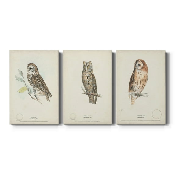 Little Owl Premium Gallery Wrapped Canvas - Ready to Hang - 32 x 48 Each