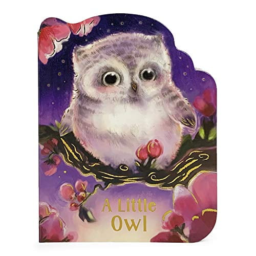 Pre-Owned A Little Owl (Board book) 1680526316 9781680526318