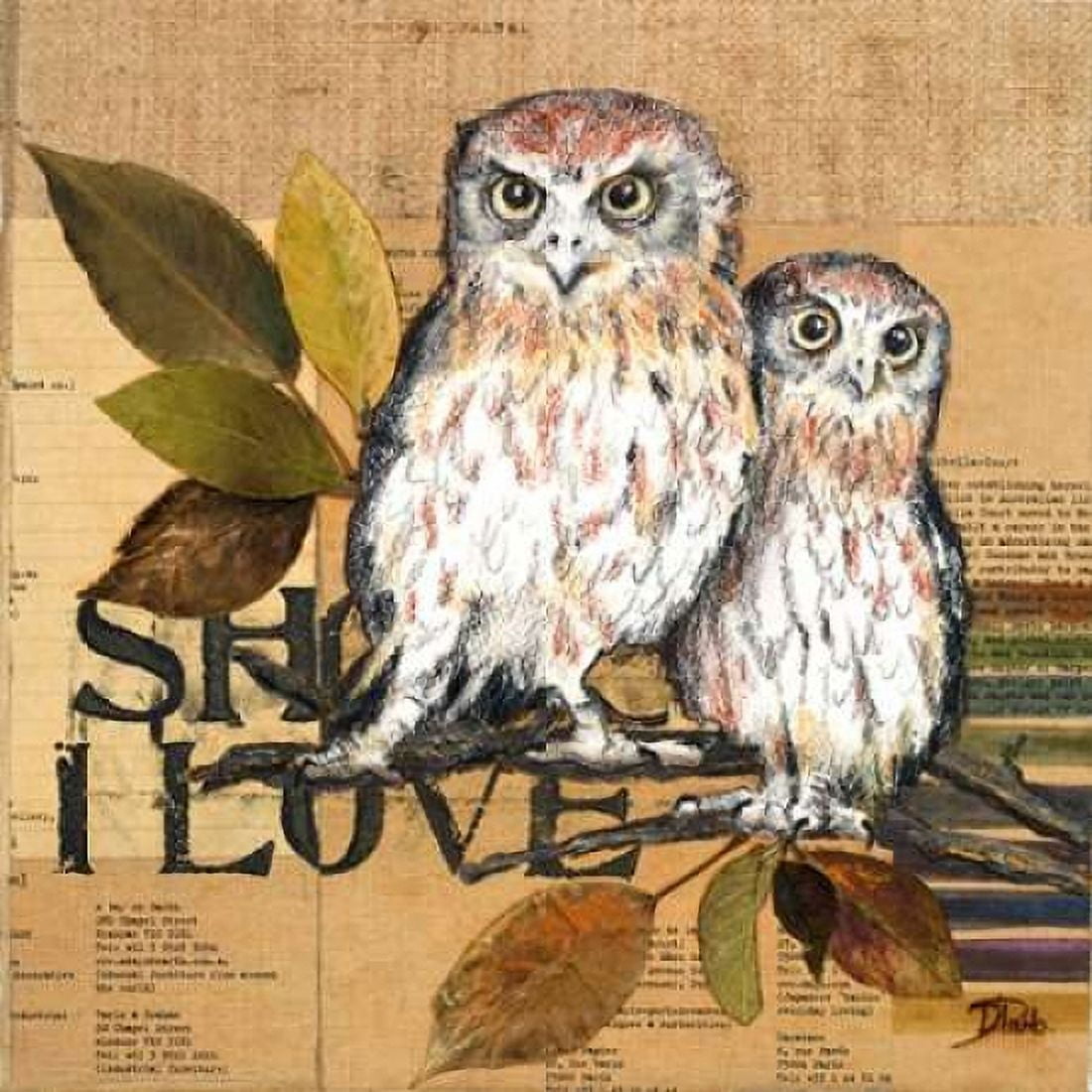 Little Owls II Canvas Art - Patricia Pinto (24 x 24)