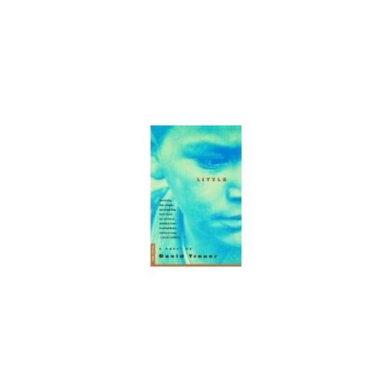 Pre-Owned Little (Paperback) 0312151640 9780312151645