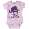 thumbnail image 1 of Little Peanut Cute Lil Elephant Lover Romper Boys or Girls Infant Baby Brisco Brands 6M, 1 of 6