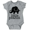 thumbnail image 1 of Little Peanut Cute Lil Elephant Lover Romper Boys or Girls Infant Baby Brisco Brands NB, 1 of 6