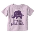 thumbnail image 1 of Little Peanut Cute Lil Elephant Lover Toddler Boy Girl T Shirt Infant Toddler Brisco Brands 12M, 1 of 6