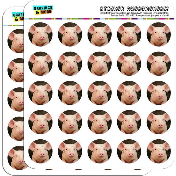 Little Pig Piggy 50 1" Planner Calendar Scrapbooking Crafting Stickers
